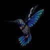 bluhummingbird1